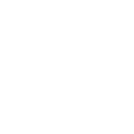 Expense